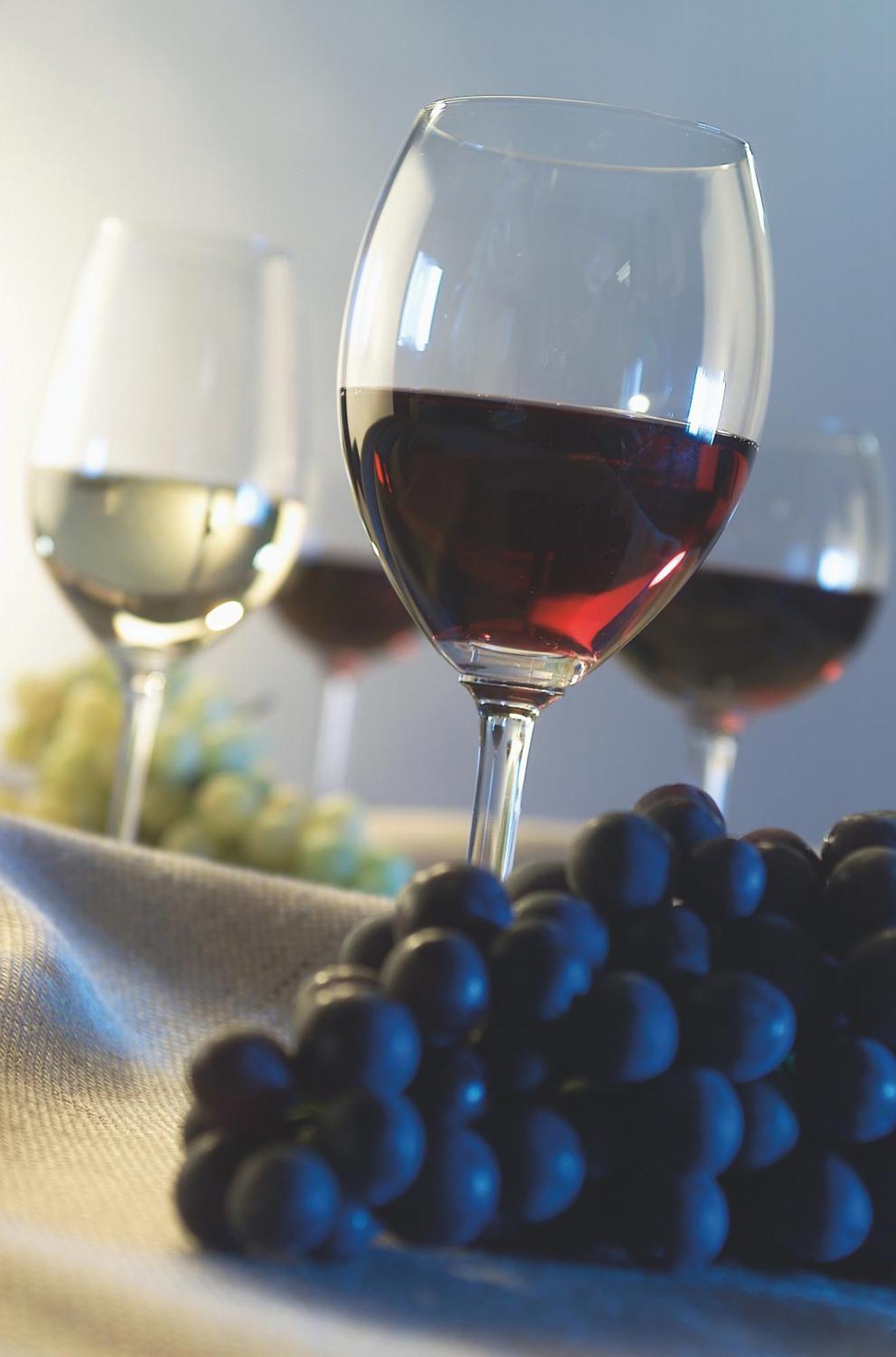 Hotel St. Justina Hof Appiano Sulla Strada Del Vino Dış mekan fotoğraf